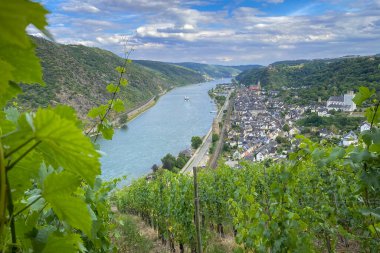 Manzara Guenderodehaus 'tan Orta Ren Vadisi' ne ve Almanya 'nın Oberwesel kasabasına