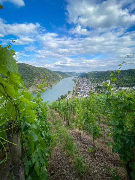 Scenic View Viewpoint Guenderodehaus Middle Rhine Valley Town Oberwesel Germany — Stock Photo, Image