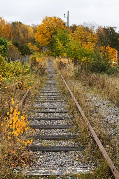 Oude railroad tracks. — Stockfoto