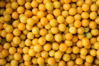 Kutuda küçük sarı erikler