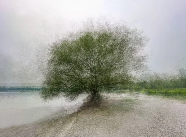 Imagem Artística Árvore Solitária Costa Usando Técnica Pep Ventosa — Fotografia de Stock