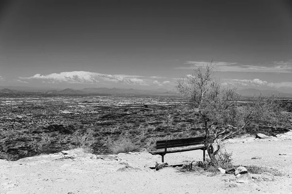 有视野的和平沙漠长椅 — 图库照片