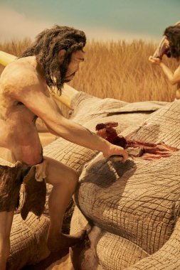 İspanya, Castilla La Mancha, Cuenca Paleontoloji Müzesi 'ndeki bir hayvandan yiyecek alan tarih öncesi insanın kopyası.