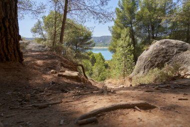 Guadalajara, Castilla La Mancha, İspanya 'daki Buendia rezervuarındaki yüzlerin manzarası.