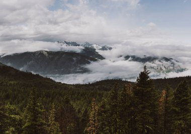 Vadi manzaralı, karlı dağlarla kaplı.