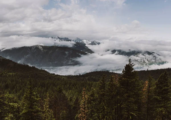 Vadi manzaralı, karlı dağlarla kaplı.