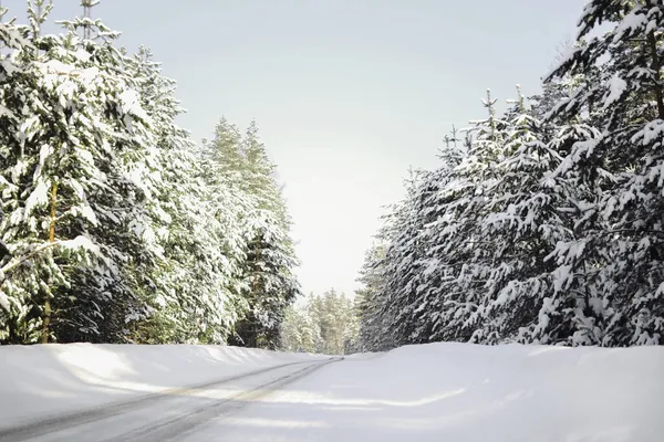 Δρόμος Για Χωριό Χειμώνα Περνά Μέσα Από Ένα Πευκοδάσος — Φωτογραφία Αρχείου