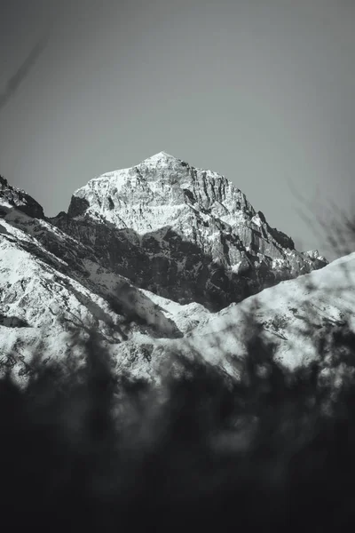 在安第斯山脉的雪峰上 拱形花冠呈单色 — 图库照片