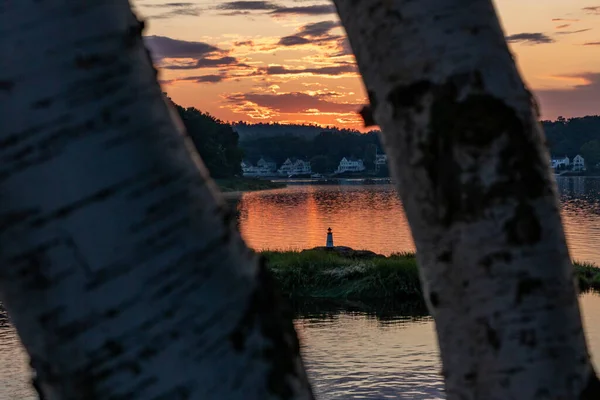 Mini Phare Milieu Eau Entre Deux Arbres — Photo