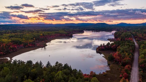 Herbstlaub Maine Forest Bei Sonnenuntergang — Stockfoto