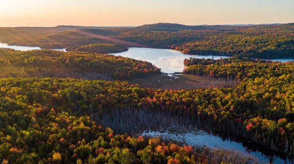 Folhagem Outono Nascer Sol Maine — Fotografia de Stock