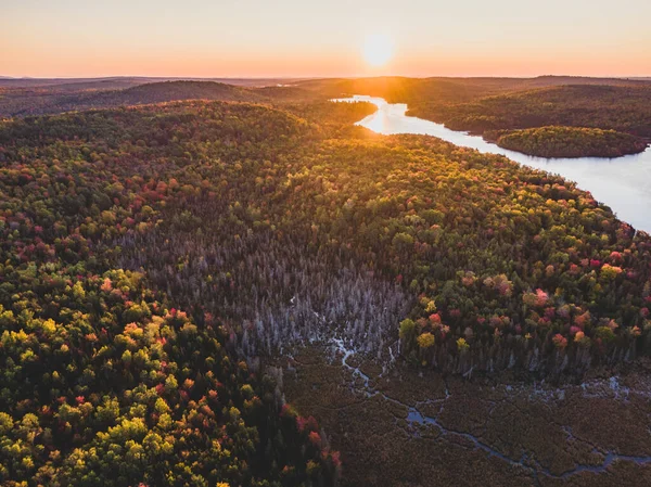 Sonnenaufgang Herbst Laub Maine — Stockfoto