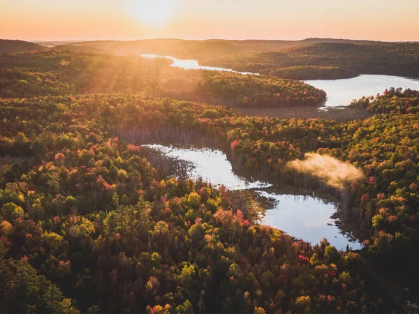 Herbst Laub Sonnenaufgang Maine — Stockfoto