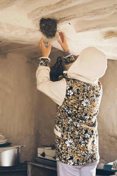 Woman in hoodie,  hands up to swallow\'s nest under ceiling of old hut