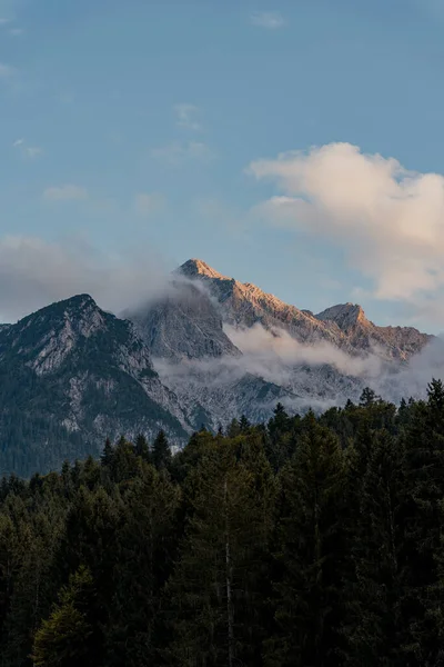 Alpenglow Вершинах Гір Лісом — стокове фото