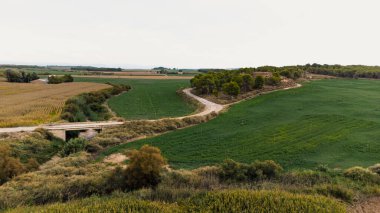 Bazı mısır tarlalarının havadan görüntüsü
