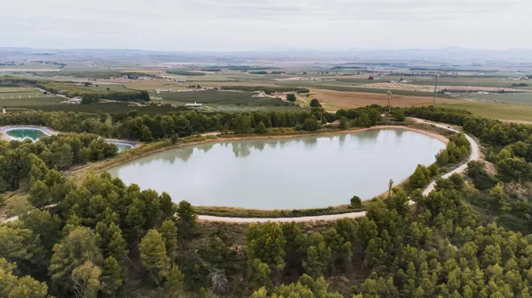 松に囲まれた湖の空中風景 — ストック写真