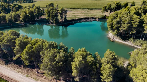 Aerial View Lake Next Pine Trees — Stock Photo, Image