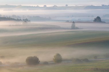 Slovakya 'nın Budis kentindeki tarlalarda sabah sisi