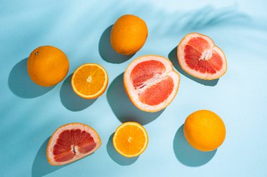 Turunçgiller, portakallar, greyfurtlar ve hurma ağaçlarının gölgeleri...