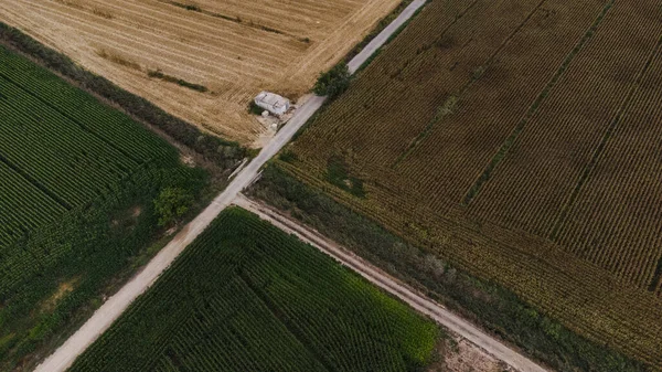 Εναέρια Άποψη Ορισμένων Cornfields Δίπλα Ένα Δρόμο — Φωτογραφία Αρχείου