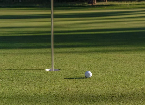 Golf Ball Grass — Stock Photo, Image