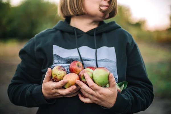 Woman Holding Apples Her Garden — Stock Photo, Image