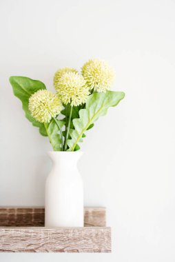 Açık Yeşil Diyanthus Beyaz vazoda Parlak ve Havai Evinde