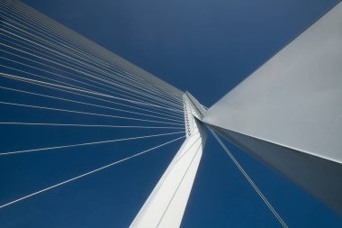 Rotterdam, Hollanda 'daki Erasmus Köprüsü