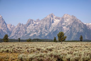 Grand Teton Ulusal Parkı, Wyoming 'de yaz manzarası.