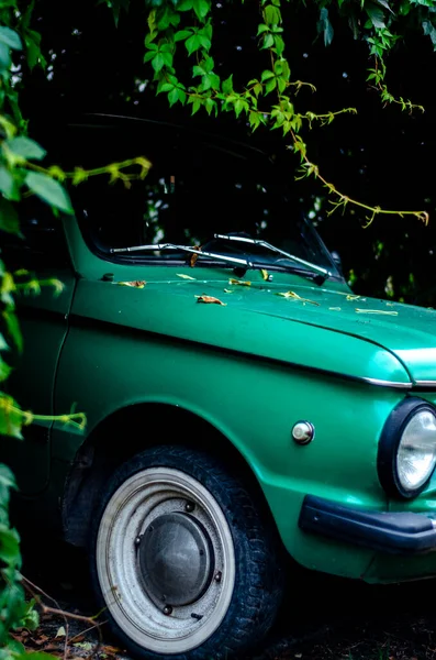 Voiture Rétro Verte Dans Une Arche Faite Neuf Raisins — Photo