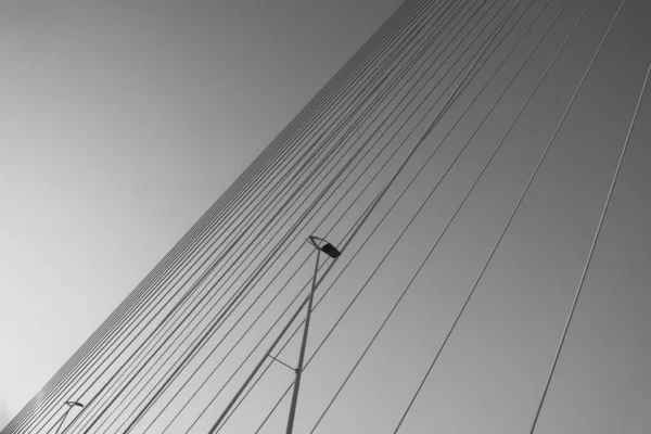Most Erasmus Rotterdamu Nizozemsko — Stock fotografie