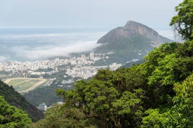Yeşil yağmur ormanlarından şehir binalarına güzel bir manzara
