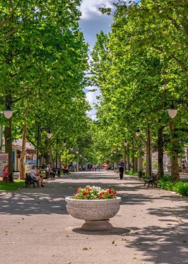 Alexander Suvorov Caddesi, Kherson, Ukrayna