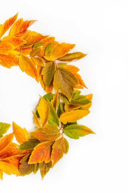 Turuncu, sarı ve yeşil yapraklı sonbahar çelengi