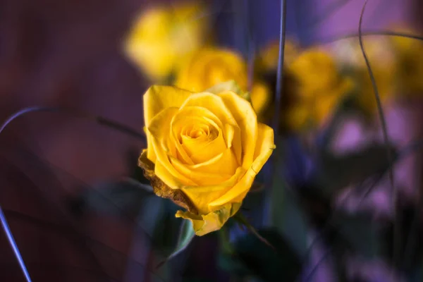 Sarı Gül Bahar Düğün Dekoru — Stok fotoğraf