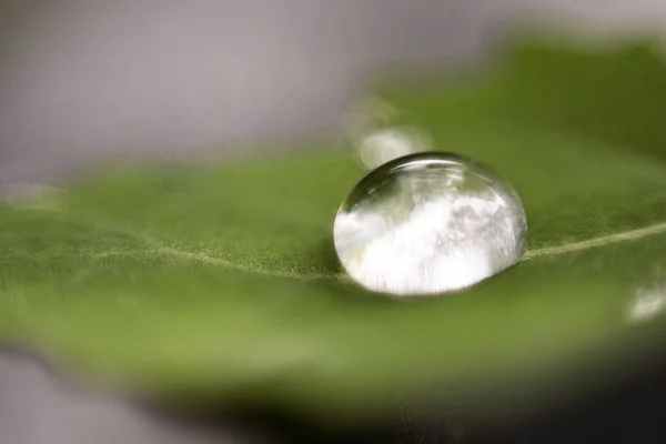 Wassertropfen Makro Foto Bild — Stockfoto