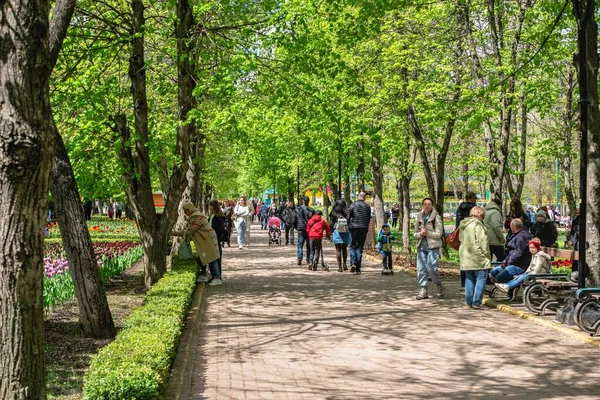 Kropyvnytskyi Arboreto Nel Parco Della Città Una Giornata Sole Primaverile — Foto Stock