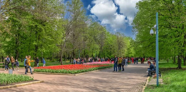 Kropyvnytskyi Arboretum Parku Miejskim Słoneczny Wiosenny Dzień — Zdjęcie stockowe
