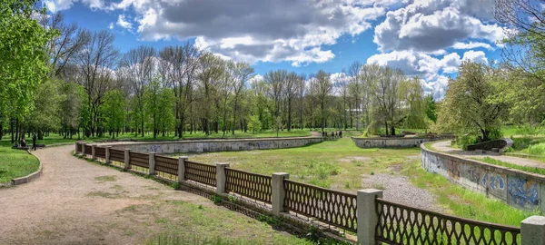 Arboretum Кропивницького Міському Парку Сонячний Весняний День — стокове фото