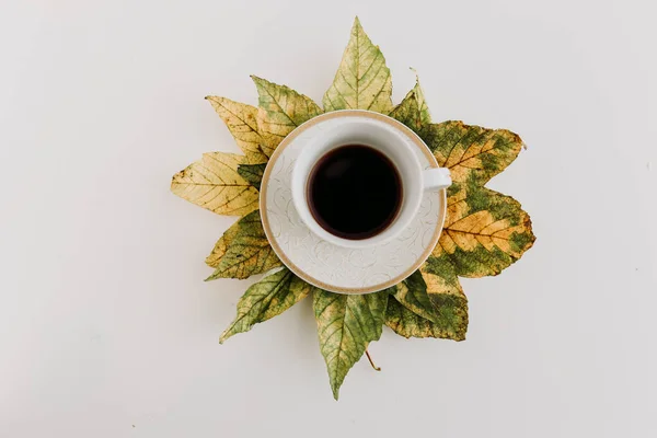 Minimalistische Kaffeetasse Auf Klon Herbstblättern Auf Weißem Hintergrund — Stockfoto