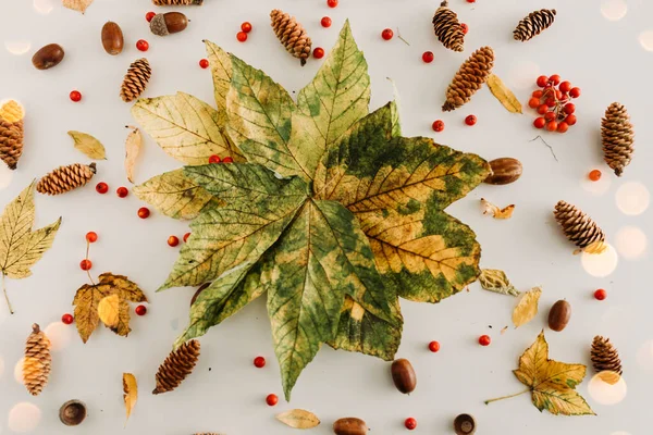 stock image Autumn leaves flat lay with bokeh on a white background