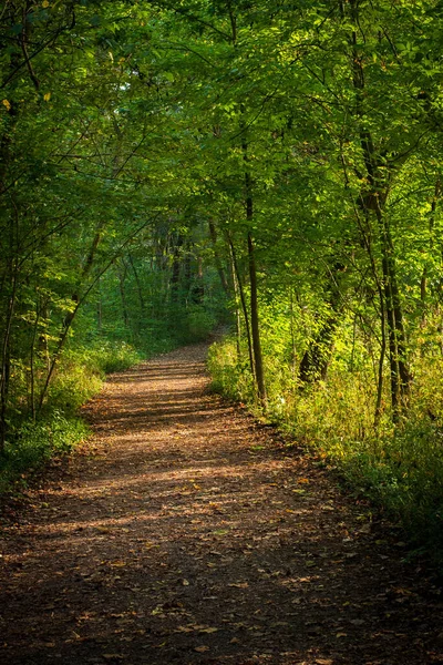 Caminho Isolado Parque Sharon Woods — Fotografia de Stock