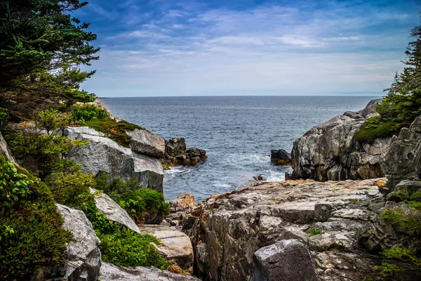 Piękne Kaczki Harbor Isle Haut Acadia National Park Maine — Zdjęcie stockowe