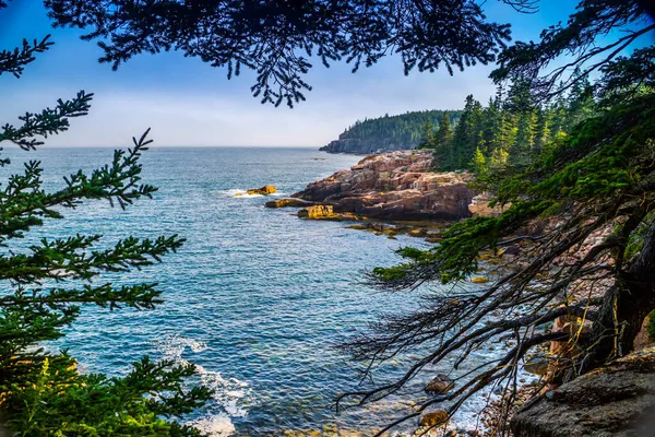 Ocean Path Trail Acadia National Park Maine — Stock Photo, Image