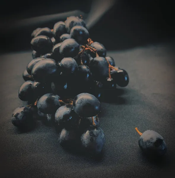 Blauwe Druiven Een Donkere Achtergrond — Stockfoto