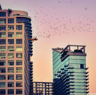 Doğu inşaatı Brickell Miami lüksü