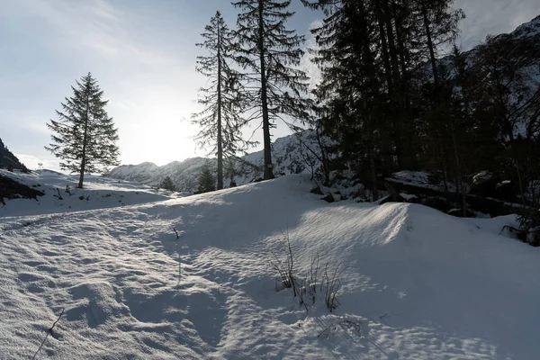 白色阳光灿烂的雪山风景 — 图库照片