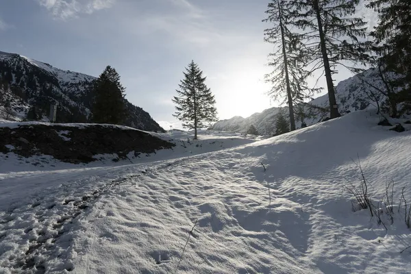 白色阳光灿烂的雪山风景 — 图库照片