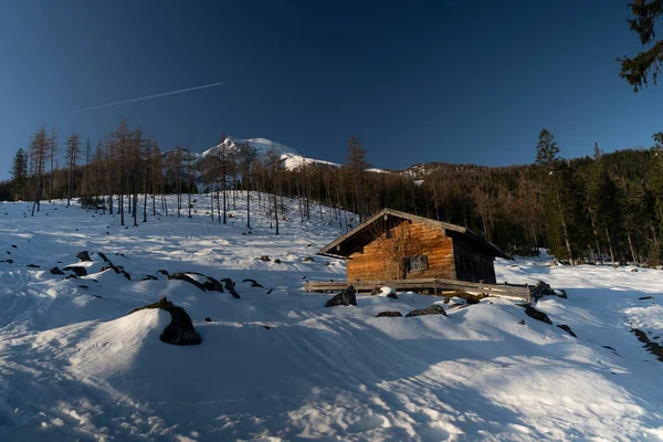 清晨阳光下的小木屋 — 图库照片